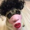 abcd🌈 profil fotoğrafı