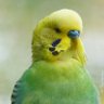 Profilbild von Muti_Starogard