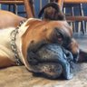 T's profile picture