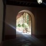 Profilbild von Miguel Angel