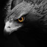 Nasıl olacak ? profil fotoğrafı