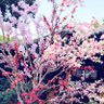 言忘仁 profil fotoğrafı