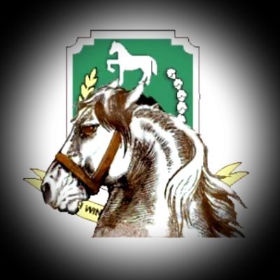 S🎯ra AⓂara 〰🔊's profile picture