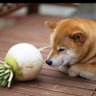 まる's profile picture