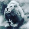 Rannoud profil fotoğrafı