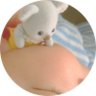 Profilbild von 👶ベビーコアラ🐨