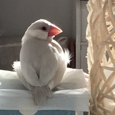 Saty's profile picture