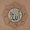 رائد⭐ profil fotoğrafı