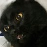 ญ.หญิง's profile picture