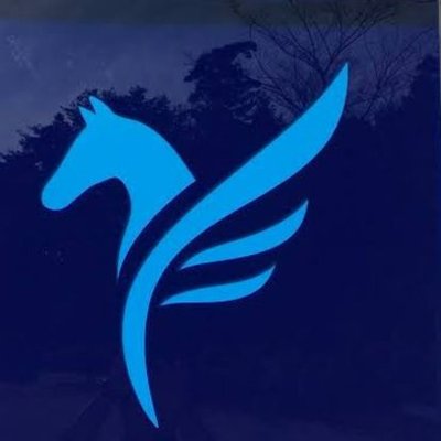 shogo_y_stable's profile picture