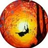 Andrea Just/Fournée 💛🐱's profile picture