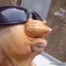 善解人衣 profil fotoğrafı