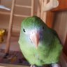 ユノりユノる 的头像