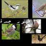 The world's profile picture