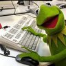 WarrenMuppet's profile picture