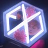 🦋앨리스🦋 的头像