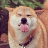 boomshakalaka 的头像