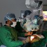 Frontal Terminalis's profile picture