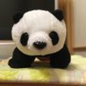 さくらもち 的头像