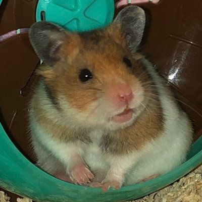 i6sTxa23iVLDhyz's profile picture