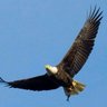 Profilbild von shan