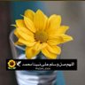 Фото профиля تومي