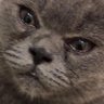 Profilbild von xzgd