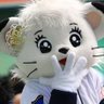 鈴菌🐾's profile picture