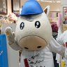 じゃん・ぷぅ~ profil fotoğrafı