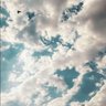 💙ًOSAMH🌧️💛 profil fotoğrafı