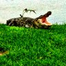 Phillipi profil fotoğrafı