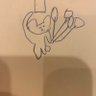 くまみ🐻 的头像