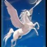 Pegaso🇮🇹⚡️'s profile picture