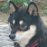 Profilbild von ｎａｎａ