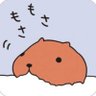 ふもふも's profile picture