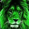K. M. N's profile picture