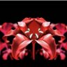 Profilbild von shi_