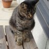 おばちゃん 的头像