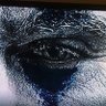 Jean Charles profil fotoğrafı