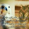 ابوعبدالله التميمي 的头像