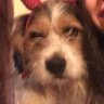 freddy's profile picture