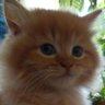 UGIMI profil fotoğrafı