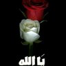 Profilbild von د.فاطمه الحمادي