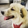 TheBrame profil fotoğrafı