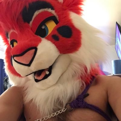 BallzPoi's profile picture