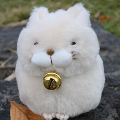 fuko2kaori's profile picture