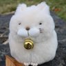 Profilbild von らこ