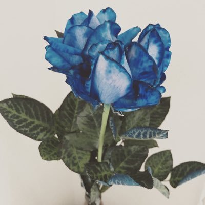 夏目うみ's profile picture