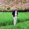 AISSAMI OUICHOU's profile picture