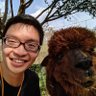 アディ's profile picture